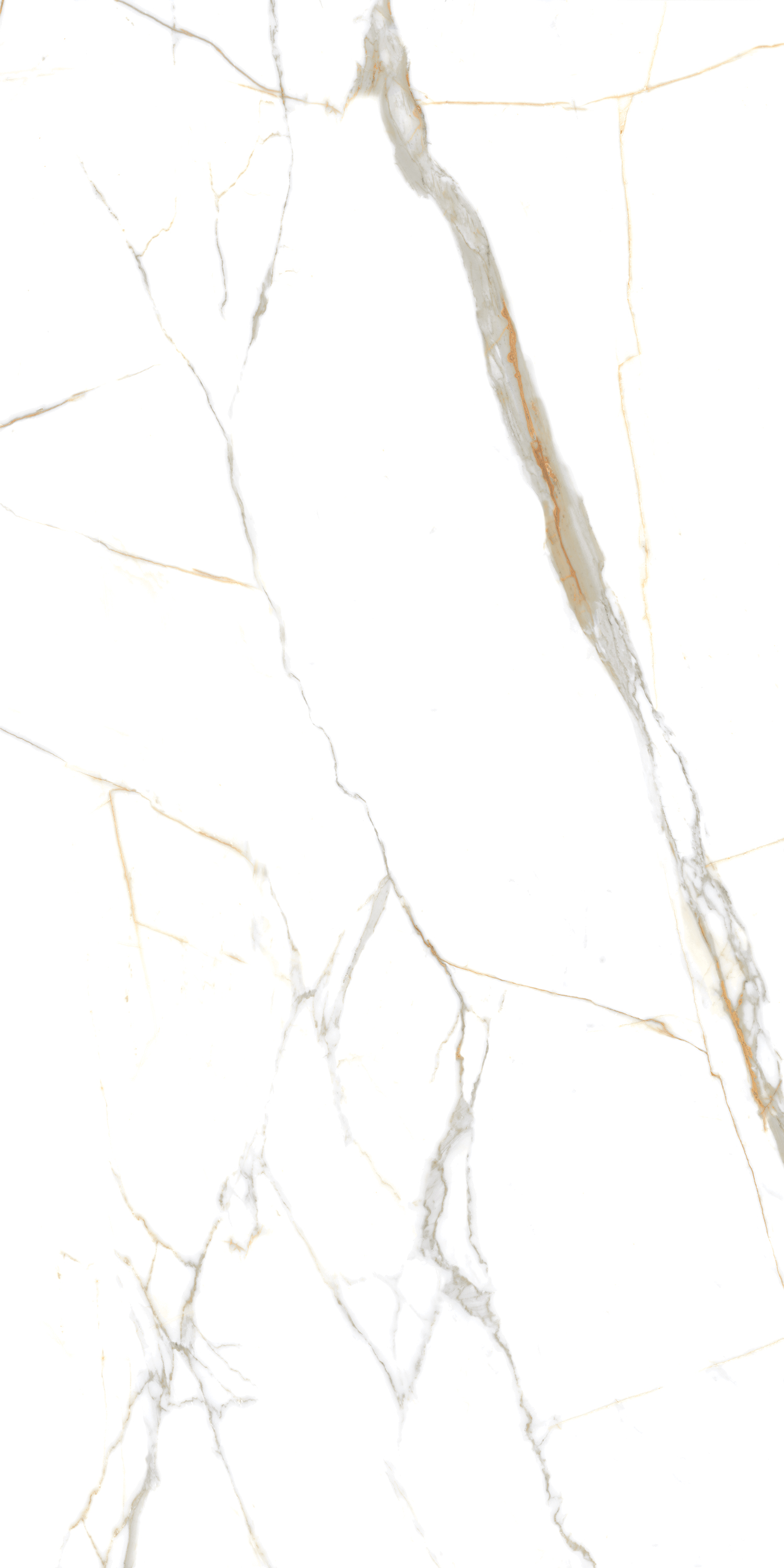 Porcelain Tile 60x120 Indigo Statuario (Glossy)